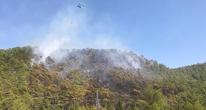 Marmaris’teki orman yangını kontrol altına alındı