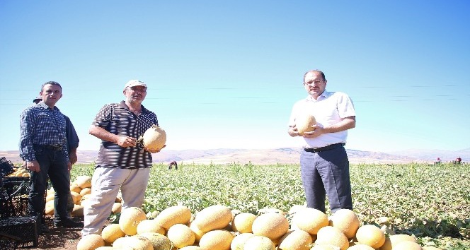 Erzincan’da tarım sektörüne yatırımlar büyük bir ivme kazanmaya başladı