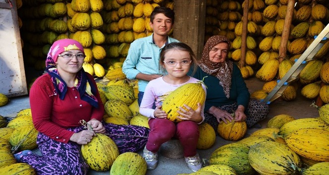 Kırkağaç’ta 30 bin ton kavun askıda