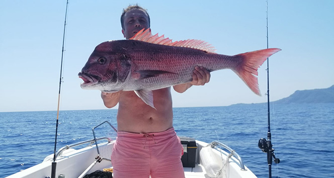 1 metrelik oltayla 2 adet 20 kiloluk dev sinarit yakaladı