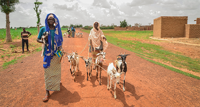 İyilik Derneği, Afrika’nın derdine süt keçileri ile koşuyor