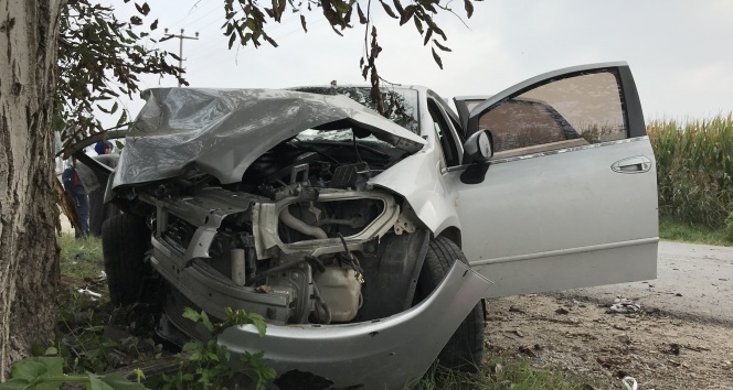 Sakarya'da otomobil ağaca çarptı: 3’ü ağır 5 yaralı