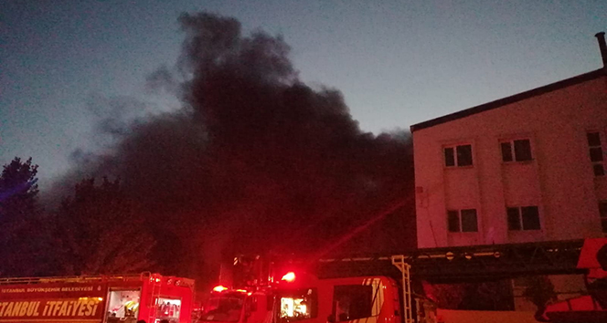 Kurtköy'de fabrika yangını