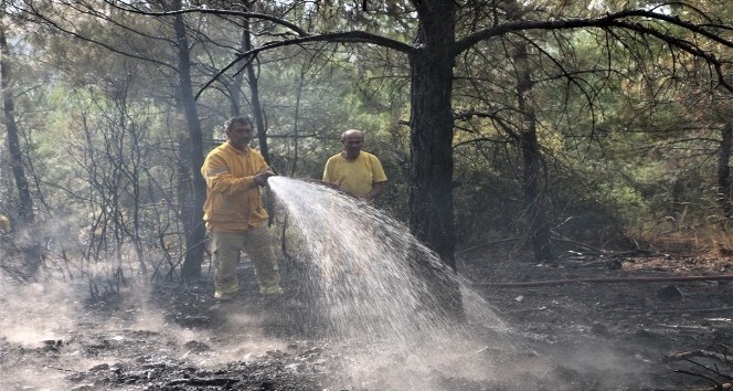 Manisa’daki orman yangını