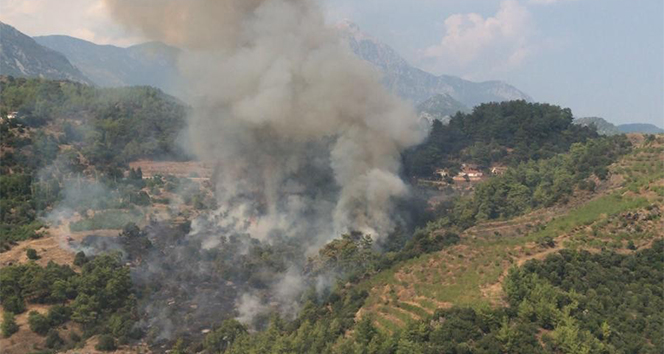 Antalya&#039;da ormanlık alanda yangın