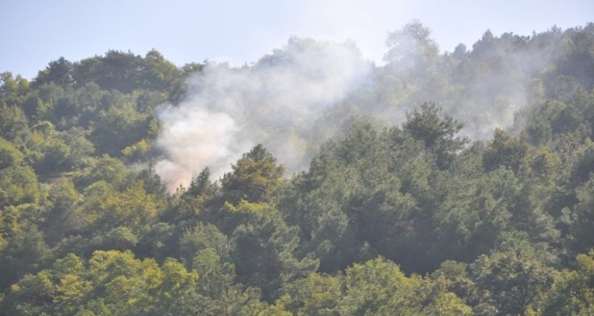 Sinop’ta şüpheli orman yangını