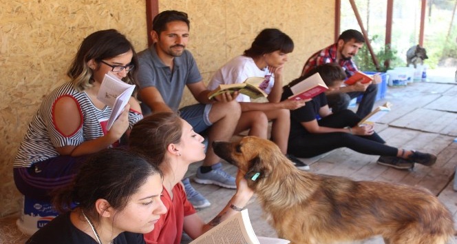 Kampiz üyeleri hayvan barınağında kitap okudu