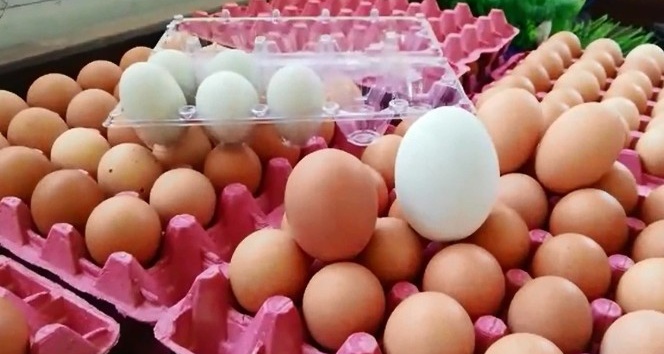 (Özel) 156 gramlık yumurta şaşırtıyor