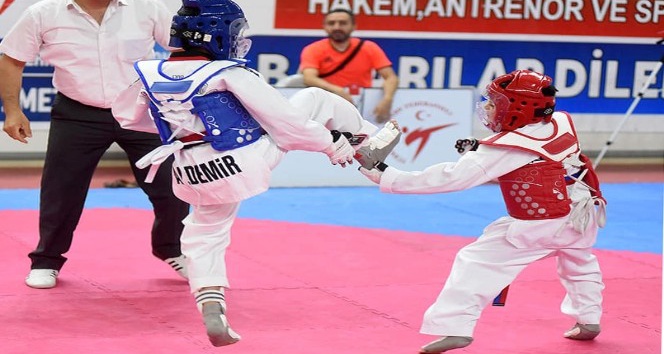 Sivas’ta yapılan Taekwondo Şampiyonası sona erdi