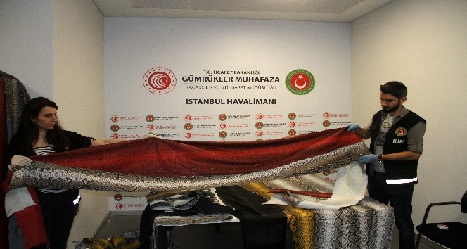 İstanbul Havalimanı’nda ele geçirilen yılan derilerinin değeri 320 bin TL