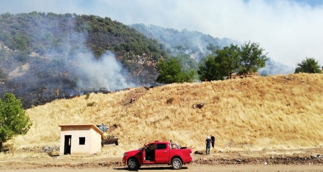 Bingöl’de orman  yangını söndürüldü