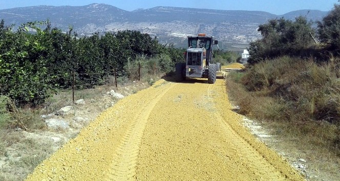 Akdeniz Belediyesi, üreticiler için yeni tarım yolları açıyor