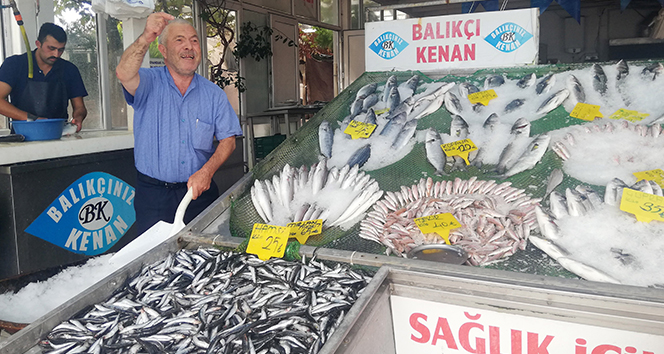 Balıkçı Kenan Balcı: &#039;Palamutun az olmasının nedeni, havaların sıcak olması&#039;