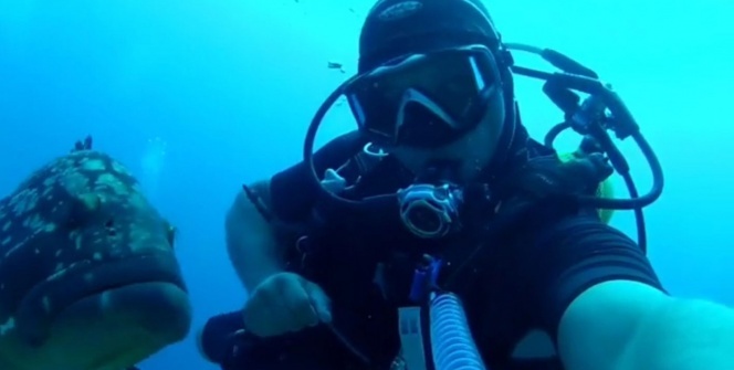 Türk dalgıçların misafiri Orfoz ve Napolyonlar oldu