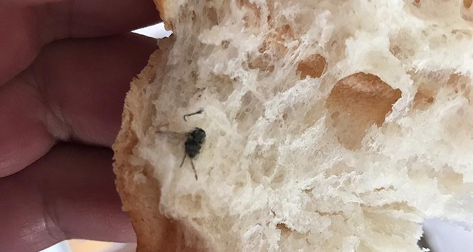 Marketten aldığı ekmeğin içinden sinek çıktı