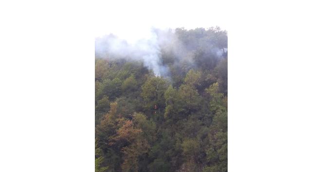 Sinop’taki orman yangını kontrol altına alındı