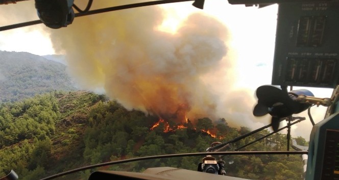 Marmaris’te bu yıl 35 hektar ormanlık alan yandı
