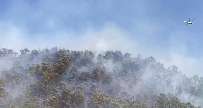 Marmaris’te bu yıl 35 hektar ormanlık alan yandı