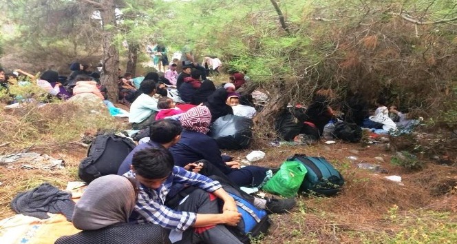 Ayvalık’ta 48 göçmen ve 3 organizatör yakalandı
