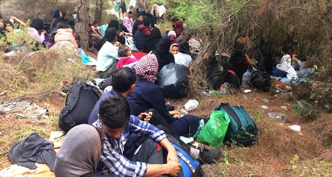 Ayvalık’ta 48 göçmen ve 3 organizatör yakalandı