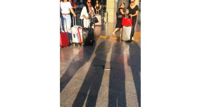 Havalimanına valizle geldi, ortalığı bir birine kattı