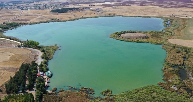 Hafik Gölü, doğal SİT alanı ilan ediliyor