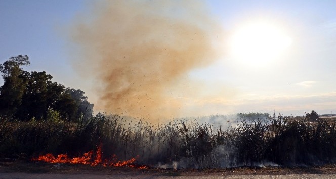 Antalya’da seraları tehdit eden sazlık yangını korkuttu