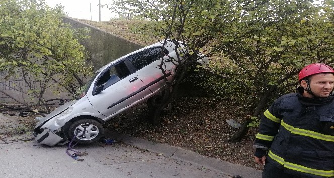 Alkollü sürücünün kontrolünden çıkan otomobil ağaca asılı kaldı