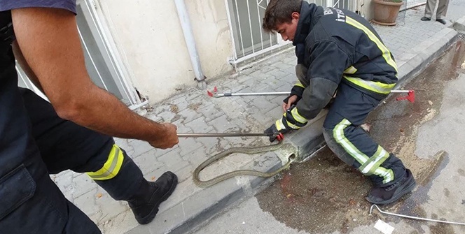 Panik dolu anlar! Hemen ekiplere haber verdiler