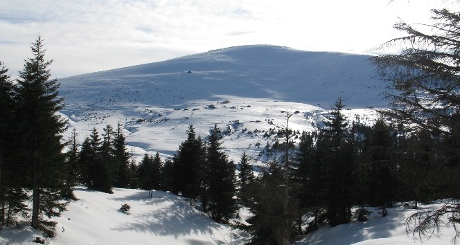 Sis Dağı Kayak Merkezi için harekete geçildi