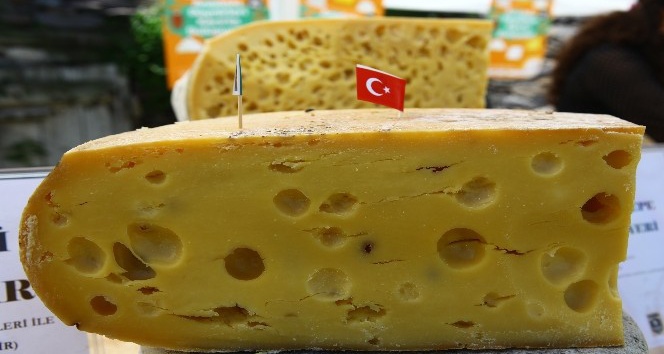 Türkiye’nin yöresel peynirleri Kars’ta buluşuyor