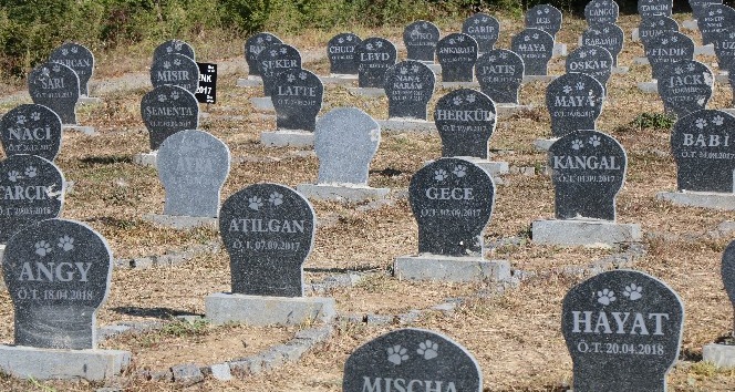 “Hayvan Mezarlığı” ile halk sağlığı korunmaya çalışılıyor