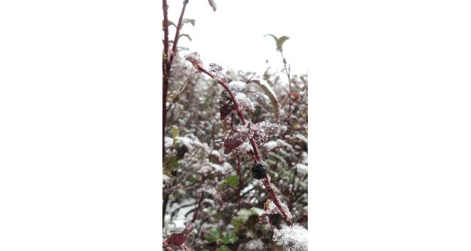Macahel’e mevsimin ilk karı yağdı