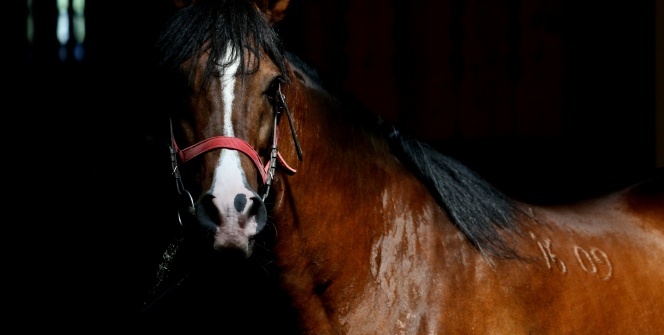 Efsane babaların efsane oğulları