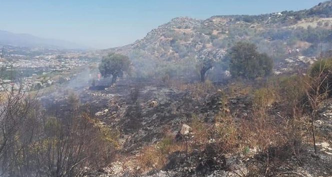 Samandağ&#039;da bitki örtüsü yangını