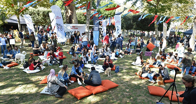 Türkiye&#039;nin ilk Evcil Hayvan ve Yaşam Festivali &#039;Petival&#039; renkli anlara sahne oldu