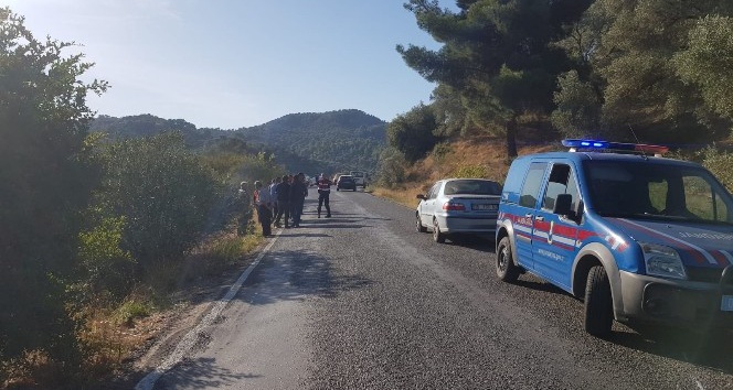 Nazilli’de trafik kazası