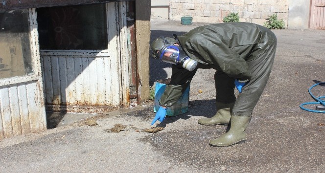 Mahalleliyi arılardan belediye ekipleri kurtardı