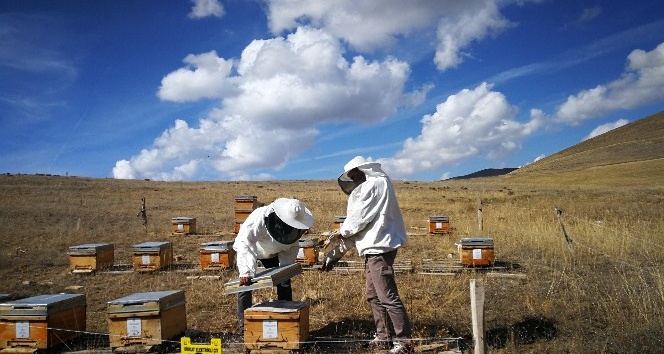 TANAP, 20 ilde yaklaşık bin proje ile çevreyi ve kalkınmayı destekledi