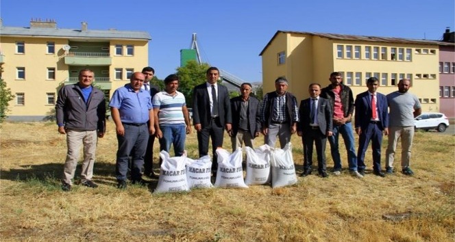 Bingöl’de 15 ton tohum dağıtıldı