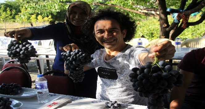 Türk halk müziği sanatçısı Oğuz Aksaç, Cimin üzümüne hayran kaldı