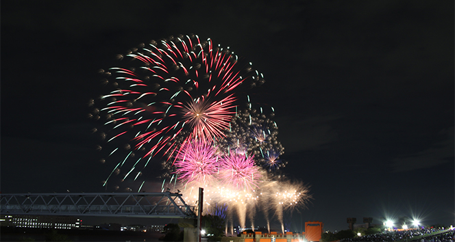 Tokyo'da havai fişek festivalinden renkli görüntüler