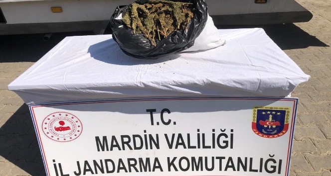 Jandarmadan zehir tacirlerine darbe: 6 gözaltı