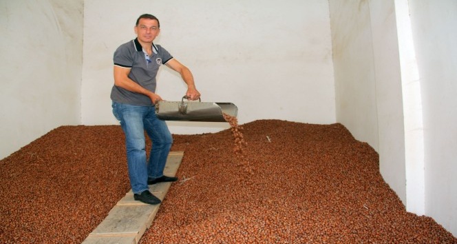 Fındık fiyatı istikrarı yakaladı