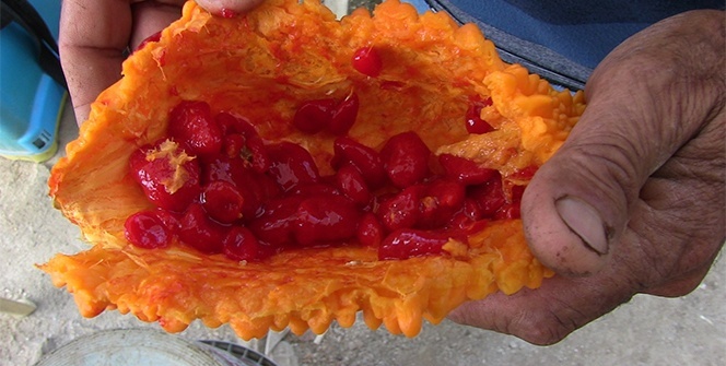 Her derde deva: 'Kudret narı'