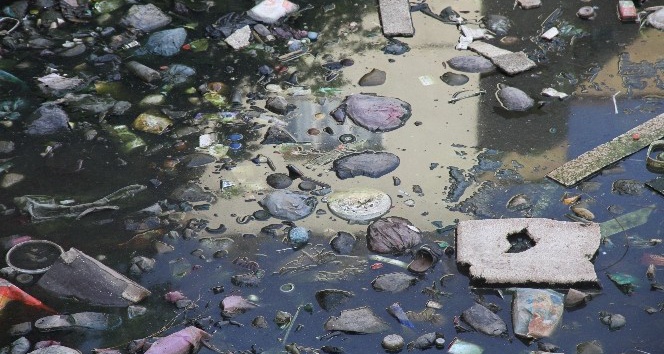 Zergan deresine atılan çöpler, hayvanların hayatını tehlikeye atıyor