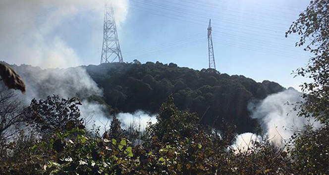Beykoz Anadolu Kavağı&#039;nda ormanlık alanda yangın