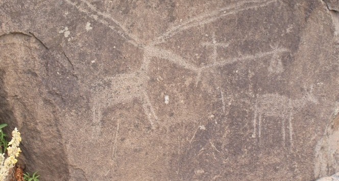 Bingöl’de Taş devrine ait, 12 bin yıllık kaya resimleri bulundu