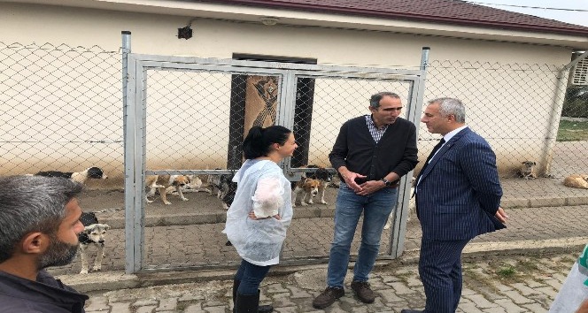 Başkan Babaoğlu, hayvan barınağında incelemelerde bulundu
