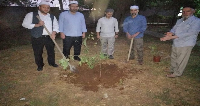 Çınar Müftülüğü’nden fidan dikme etkinliği